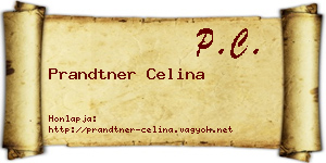 Prandtner Celina névjegykártya